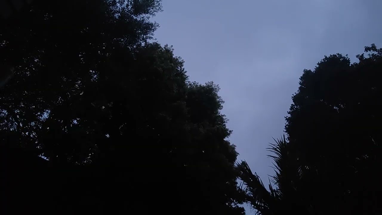 Morning birdsongs with clouds