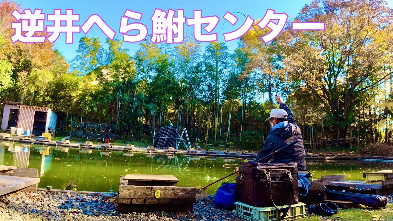 逆井へら鮒センター　千葉県柏市