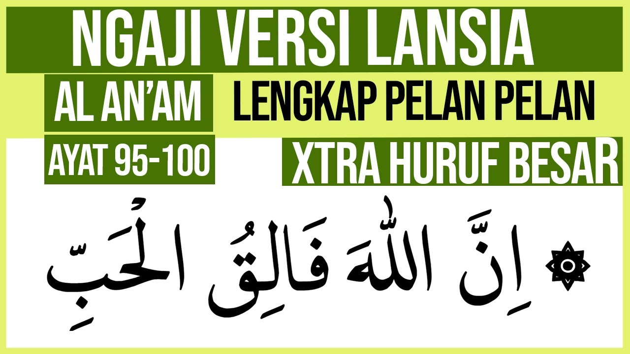 KHUSUS LANSIA BELAJAR NGAJI SURAH AL AN'AM AYAT 95-100 HURUF EXTRA BESAR DAN PELAN PELAN