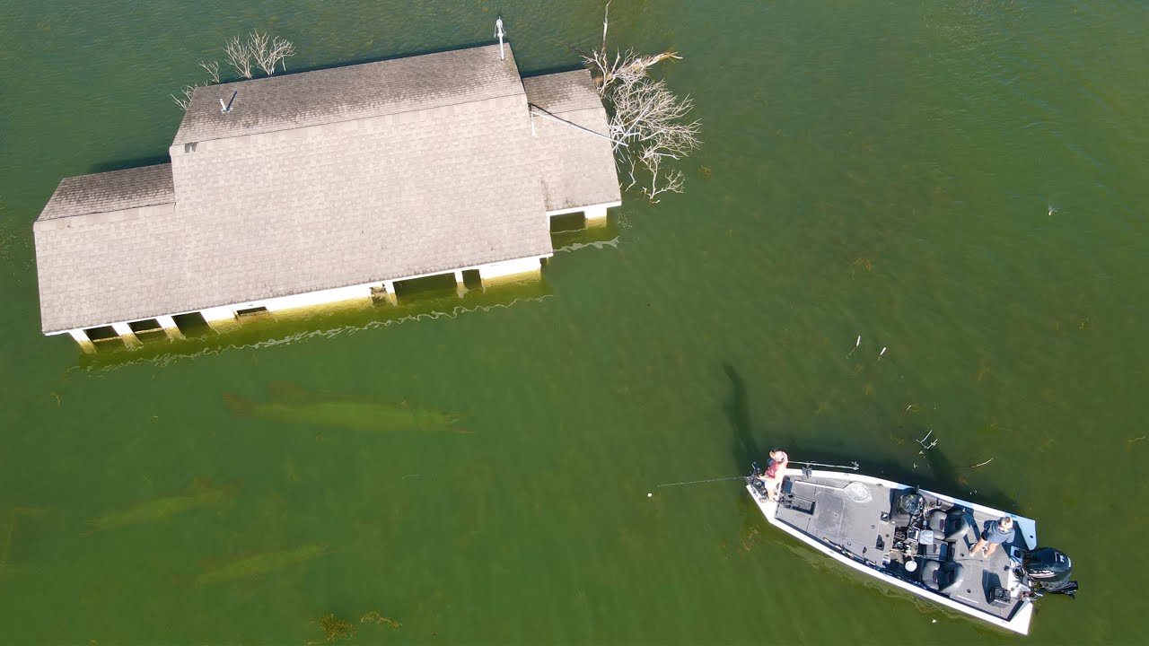 Do These Flooded Houses Hold Fish?