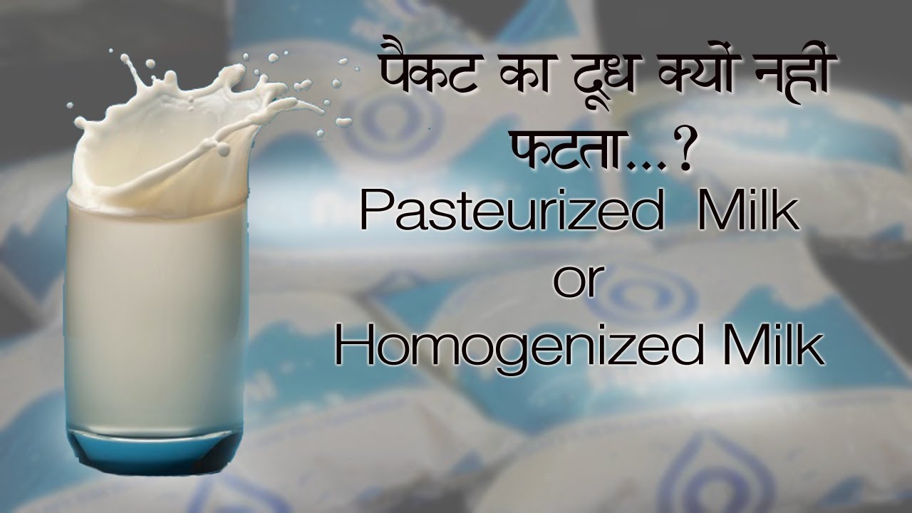 पैकेट का दूध क्यों नहीं फटता / What is Pasteurized or Homogenized MILK
