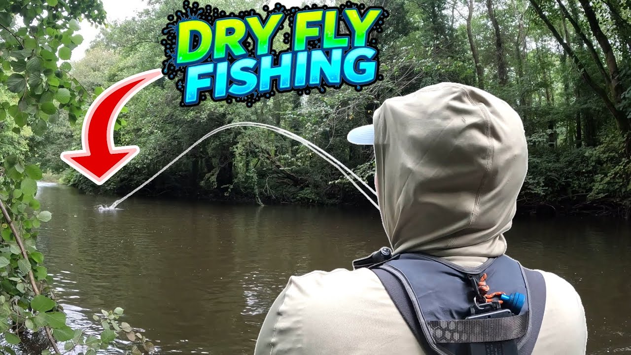 Dry Fly Fishing On Fire! 🔥 River Ebbw (No Music video) | fly fishing for trout uk