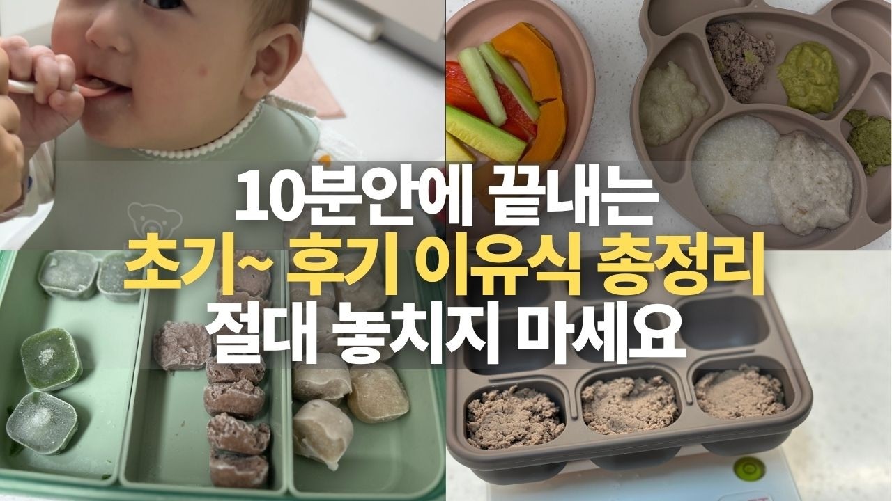 6개월 아기 이유식 시작 전 꼭 확인하세요! 시기, 토핑, 죽, 자기주도, 스케쥴 싹 정리했어요!