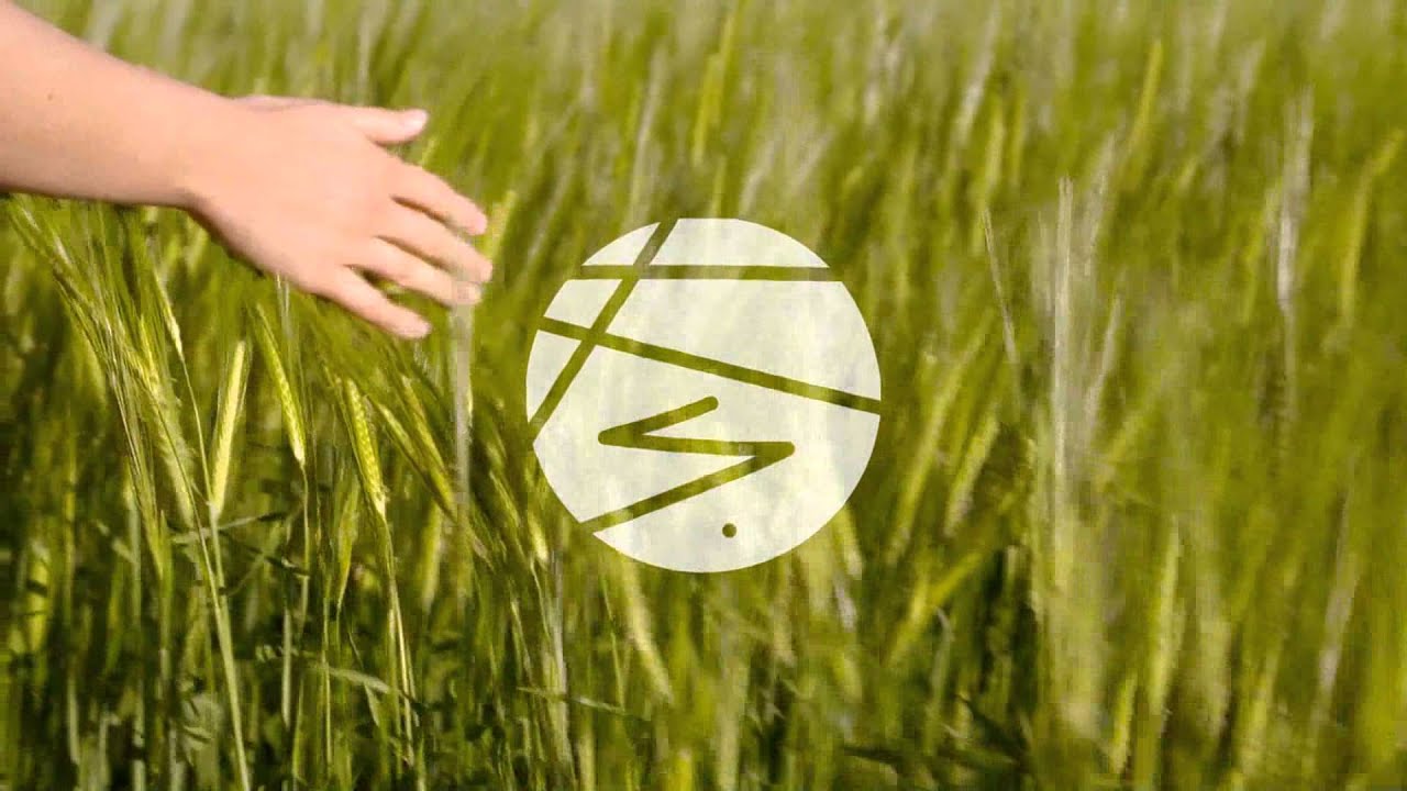 Tapes - Almost