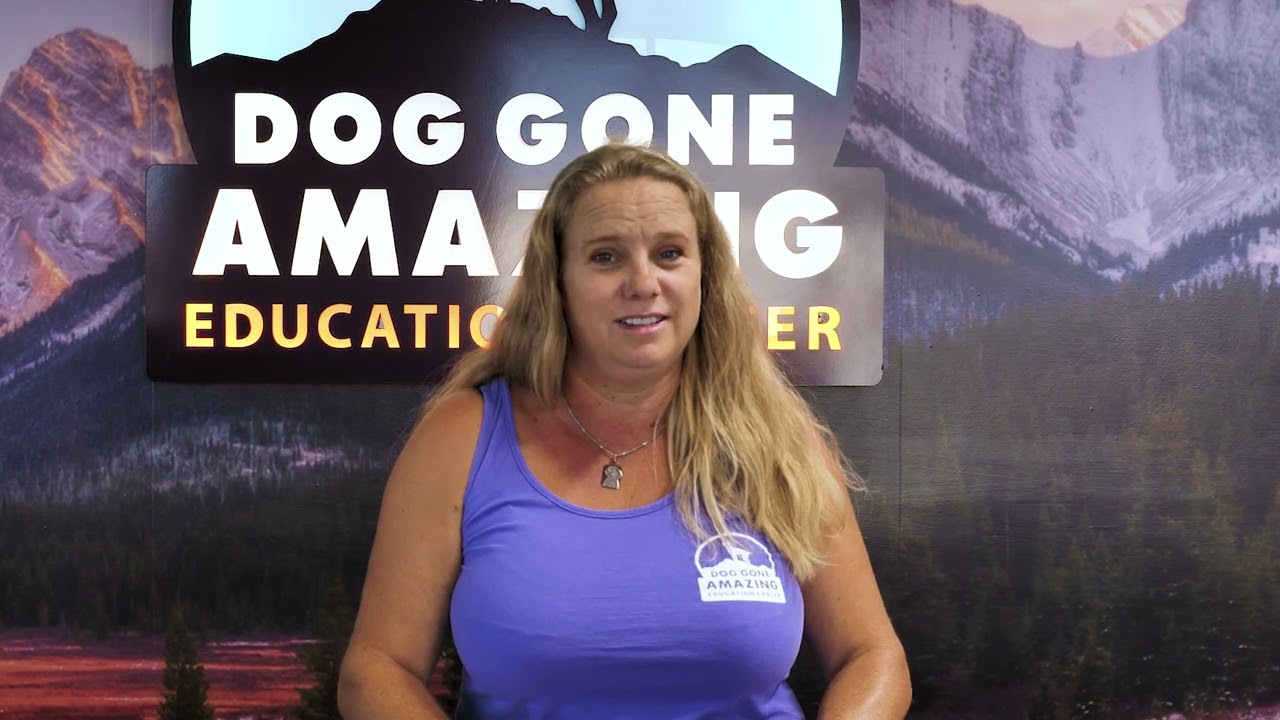 Dog Gone Amazing - How To Get Your Dog To Stop Eating Everything
