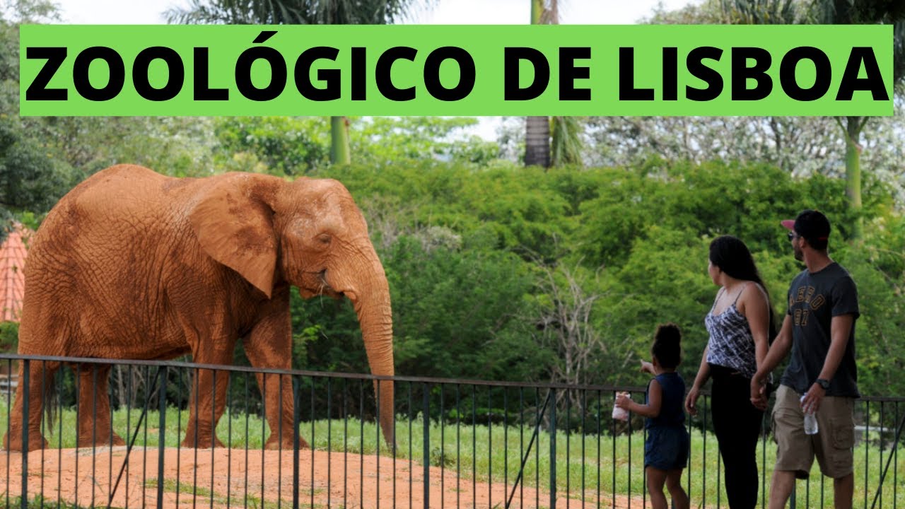 [PARTE 1] ZOOLÓGICO de Lisboa é incrível. Tem até teleférico.