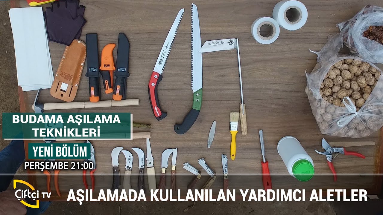 Budamada Kullanılan Yardımcı Aletler - BUDAMA AŞILAMA TEKNİKLERİ