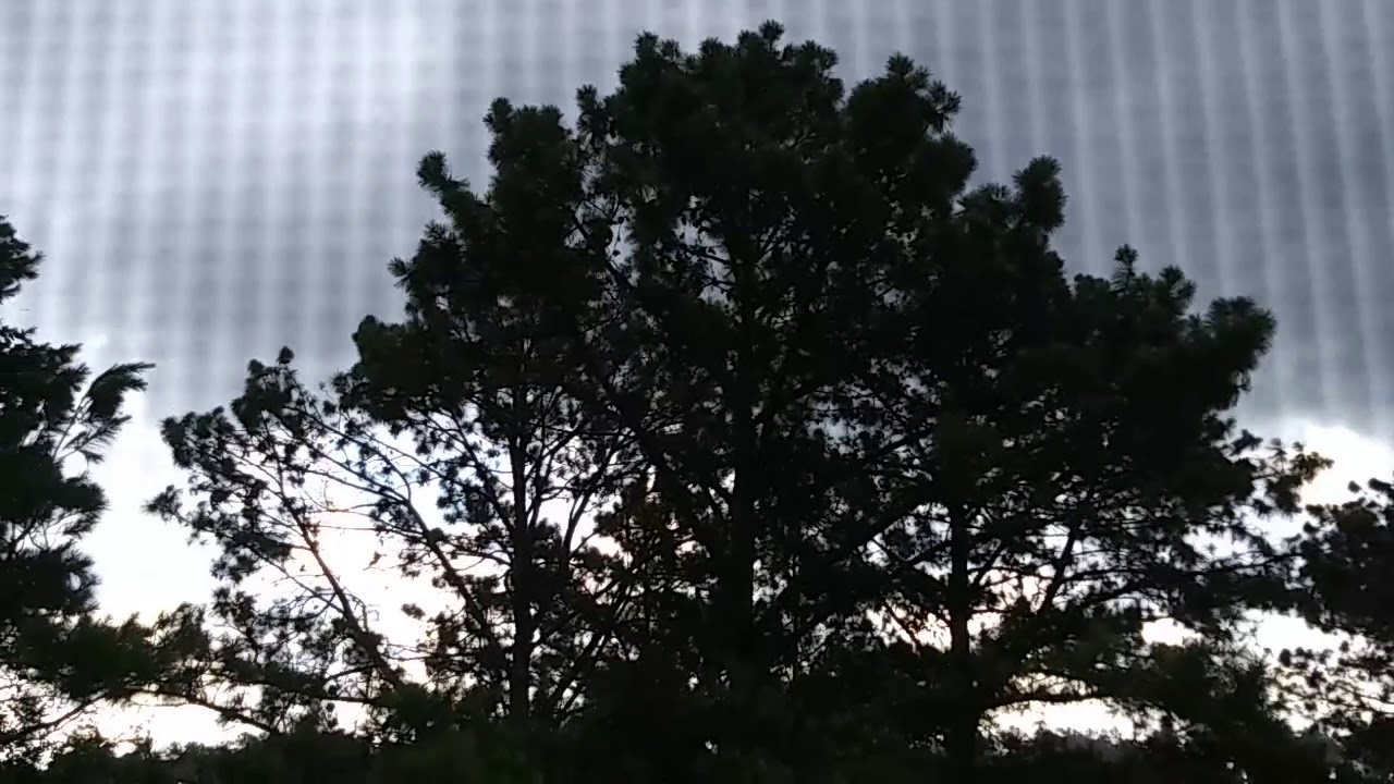 95 degrees then violent severe windstorm thunderstorm,limbs broken 60-70mph