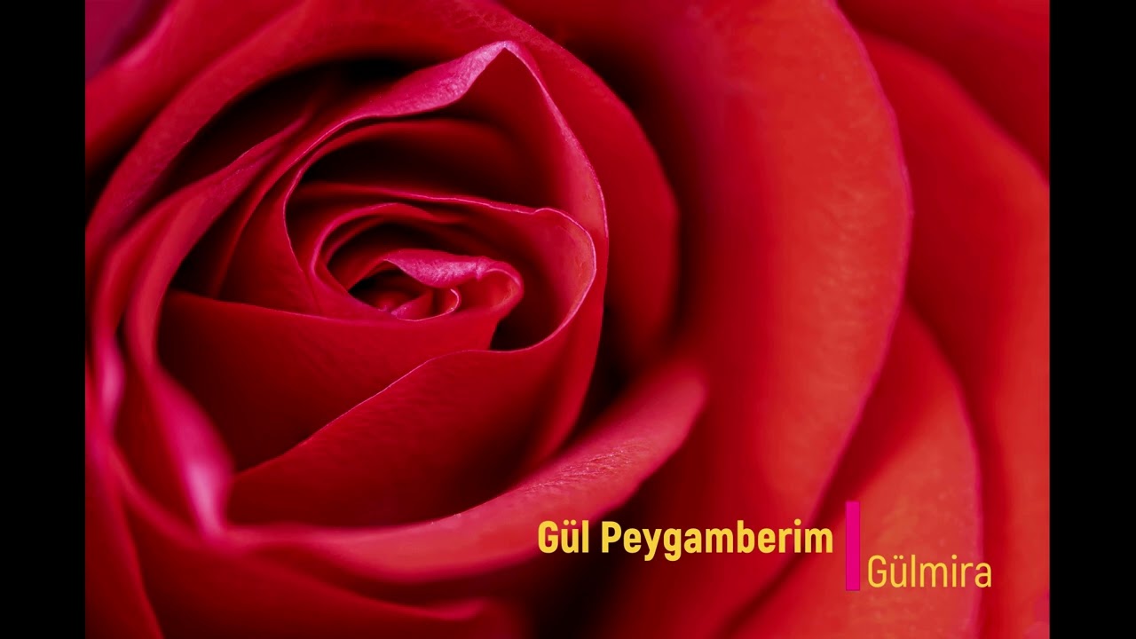 Gül Peygamberim