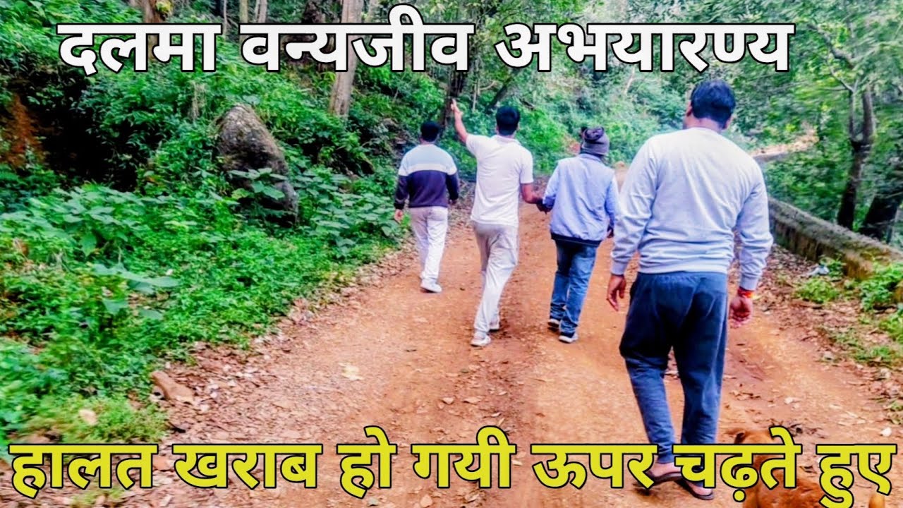 EP -2 |Not So Easy Task | Tracking in Dalma | @Aryanlife007 