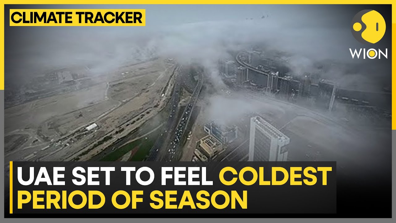 UAE Weather | Experts: Middle Third of January will be the Coldest Stretch | WION CLIMATE TRACKER