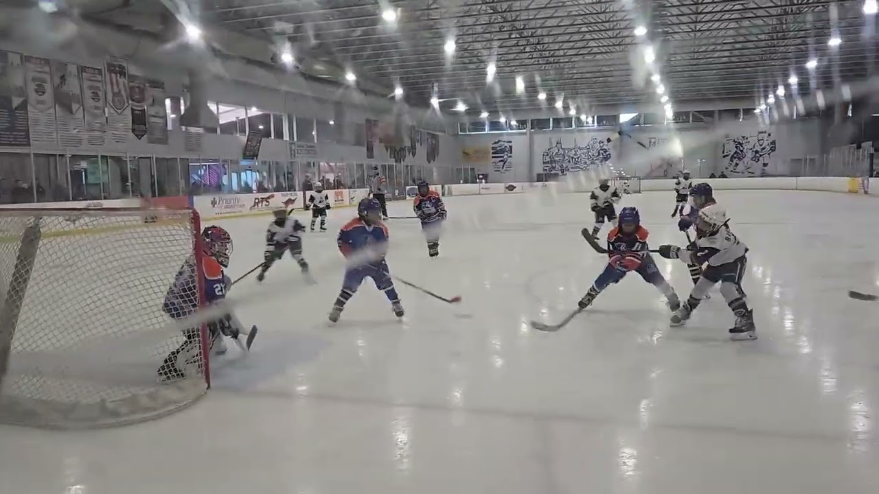 20251116 Condors2