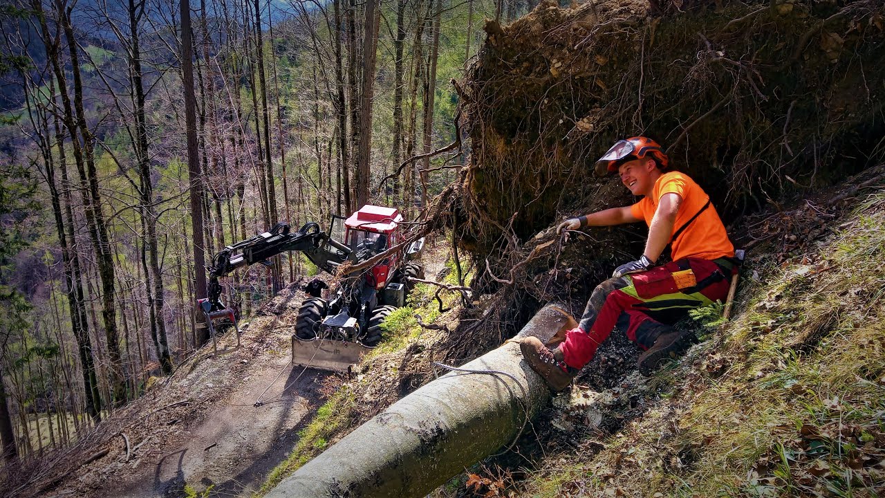 Ritter mit Höhen und Tiefen