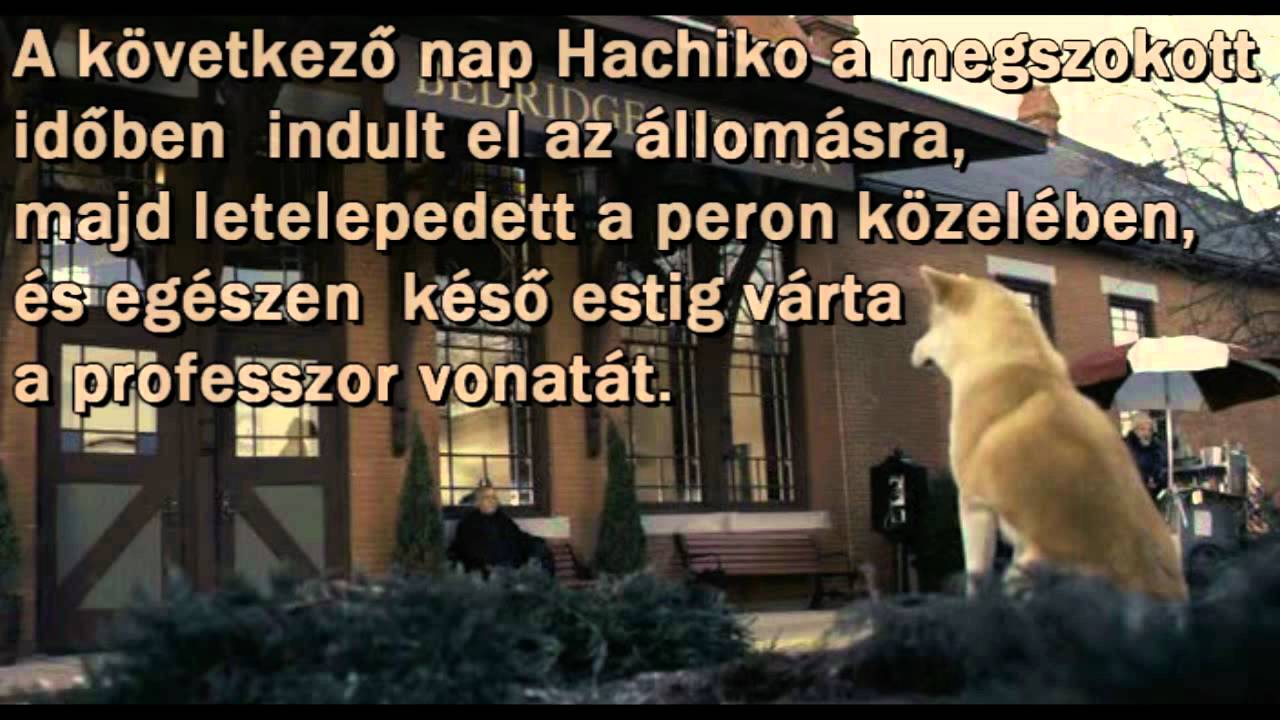 Hachiko -  Egy hűséges kutya története
