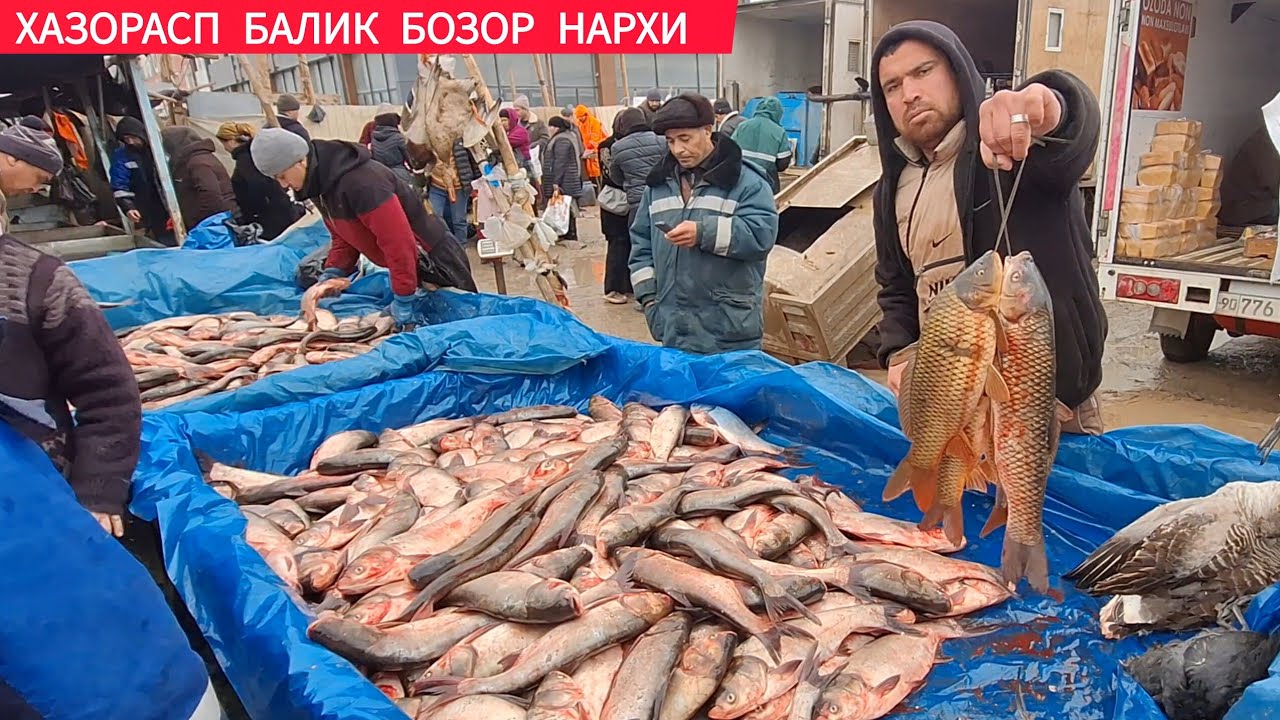 ХОРАЗМ ХАЗОРАСП БАЛИК БОЗОР НАРХИ 10-ФЕВРАЛ 2026-ЙИЛ !!! ХОРАЗМ ОБЗОР 