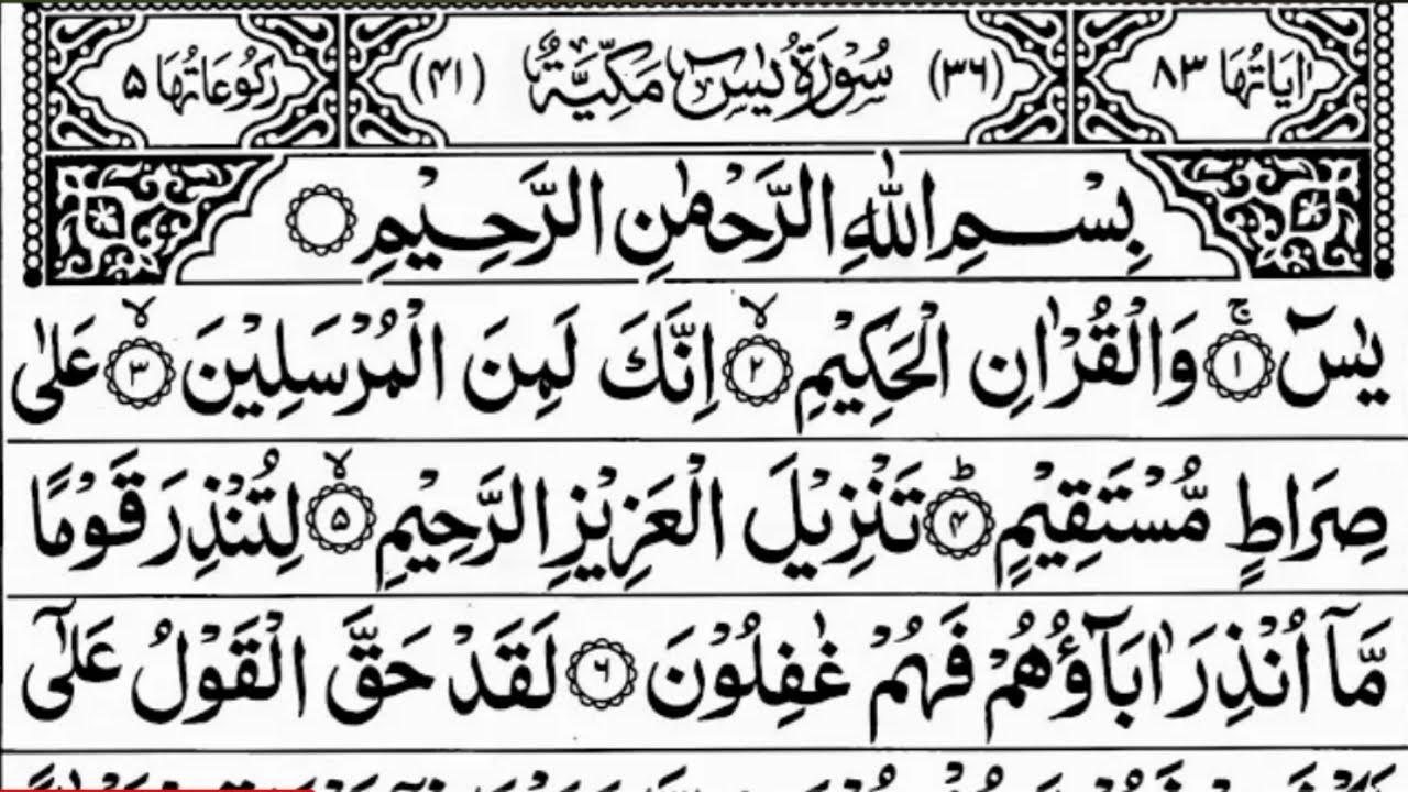 Surah Yaseen | Surah Rahman | Yasin Dua | Daily Quran Tilawat | daily new update | EP ~ 533