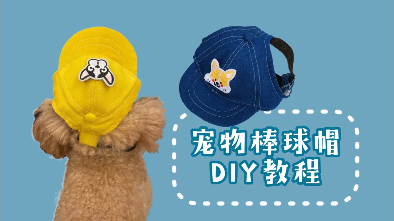 寵物棒球帽diy教程，可以解鎖狗狗們的新帽子吧｜Dog Baseball Hat DIY