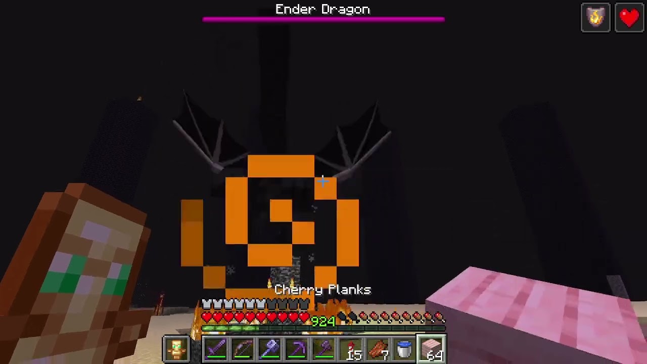 I kill  the Enderdragon