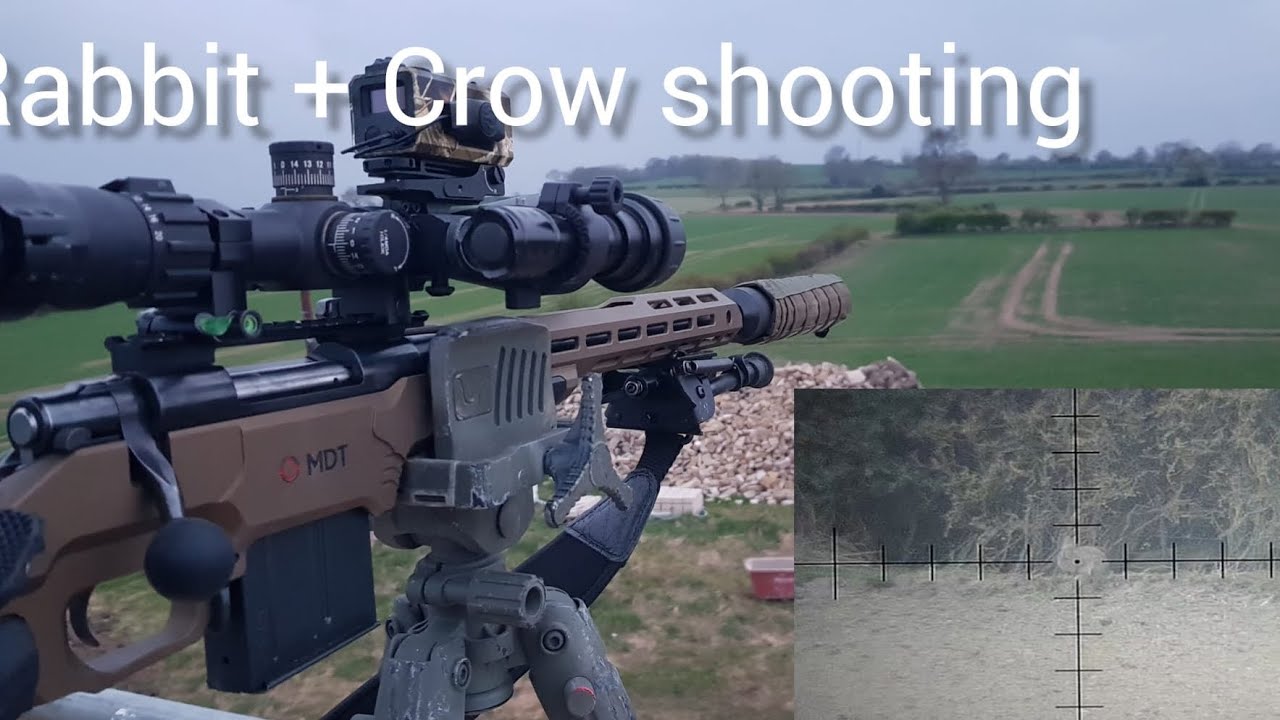 Стрельба по кроликам и воронам, .223 howa 1500