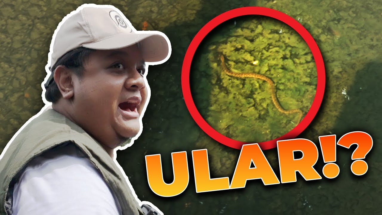 DUGONG VS. ULAR - Tara Arts VLOG