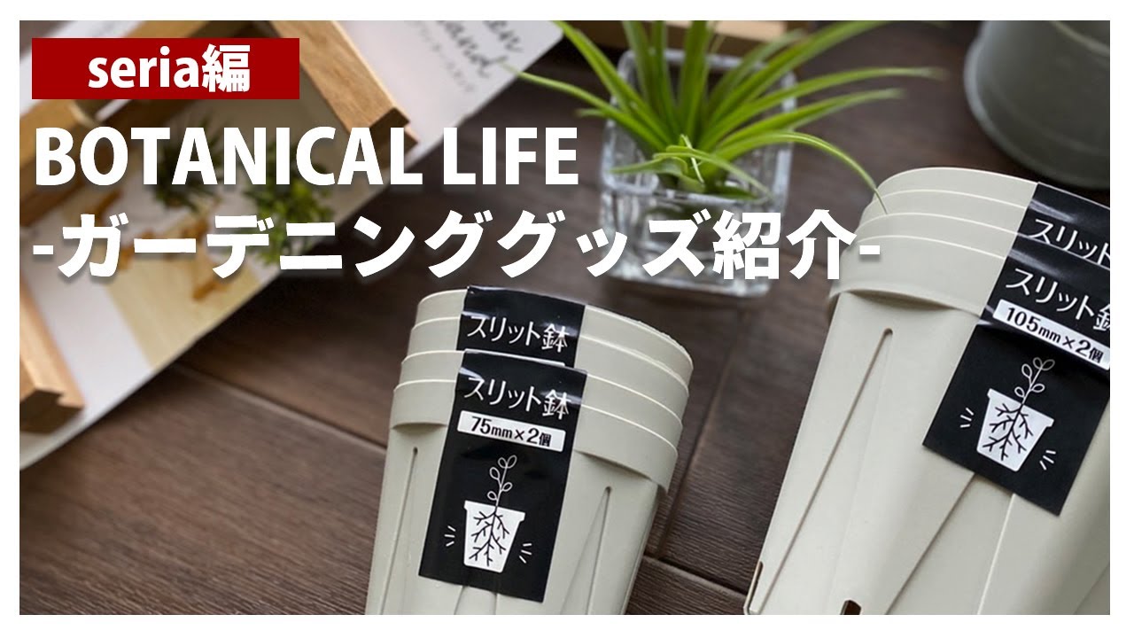 【seria購入品紹介】観葉植物初心者におすすめ！オシャレで便利なガーデニンググッズ9選｜