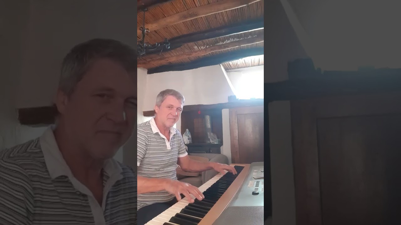 Levels by Avicci.  Piano cover by Ryan McFarlane) Wait for the cat.😻😅