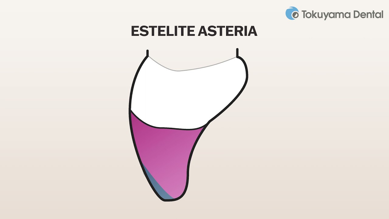 ESTELITE ASTERIA from TOKUYAMA DENTAL