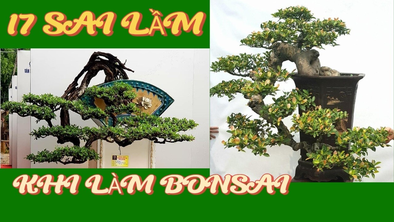17 Sai Lầm Khi Làm Bonsai – Biết Trước Sẽ Giúp Bạn Tránh Mất Cả Năm Công Sức#caycanh #bonsaiviet