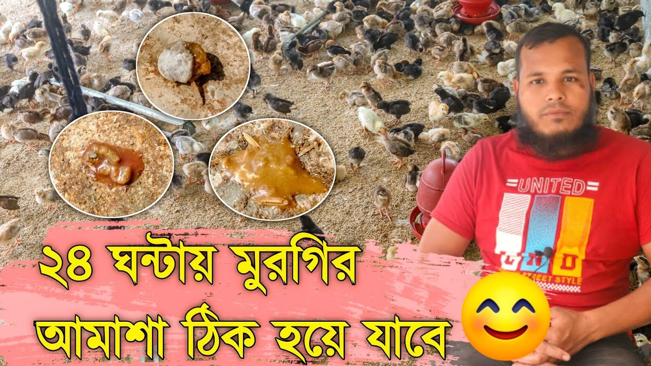 ২৪ ঘন্টায় মুরগির রক্ত আমাশা থেকে রক্ষা পাওয়ার উপায় এবং চিকিৎসা জেনে নিন|Banglar Khamar |Rasel Rana