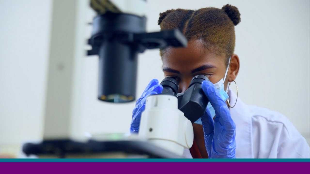 Unit for Environmental Sciences and Management &ndash; Environmental Toxicology Research
