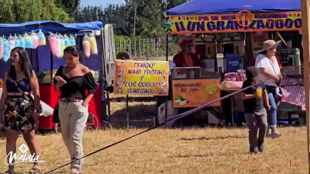 FIESTA DE LA PAPA PAICAVIANA - LOS TEMERARIOS DEL SUR