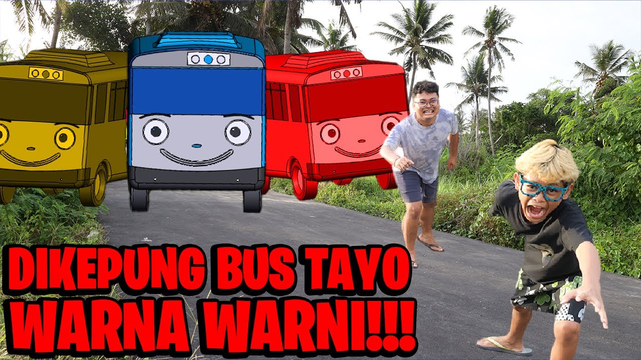 BOCIL DIKEJAR BUS TAYO WARNA - WARNI!!!