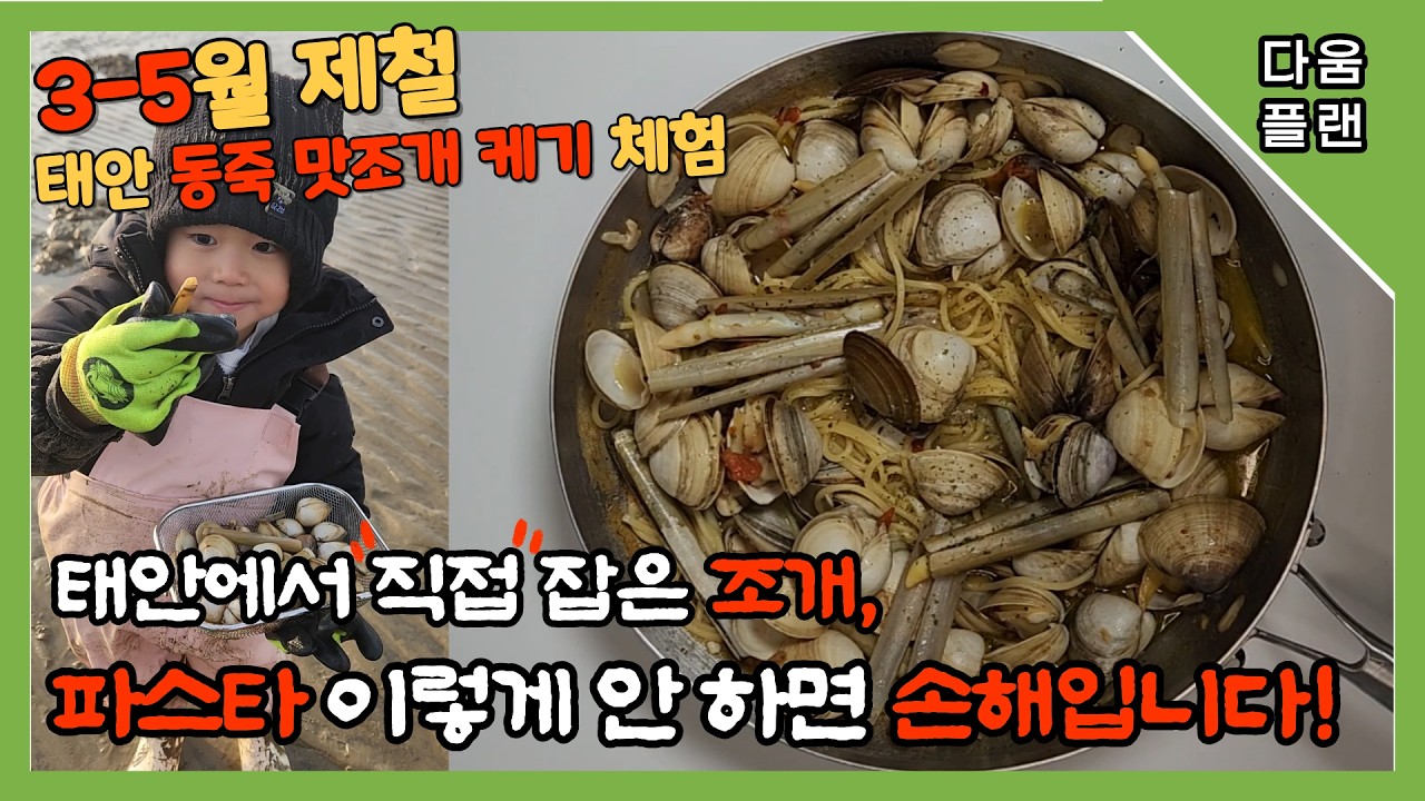 태안 조개 잡아 조개 폭탄 파스타! 더 맛있는 면의 비밀