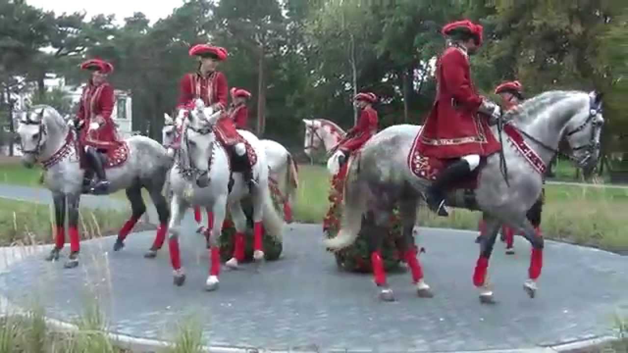 Kadryl Konny Konstancin-Zdrój 13 września 2015