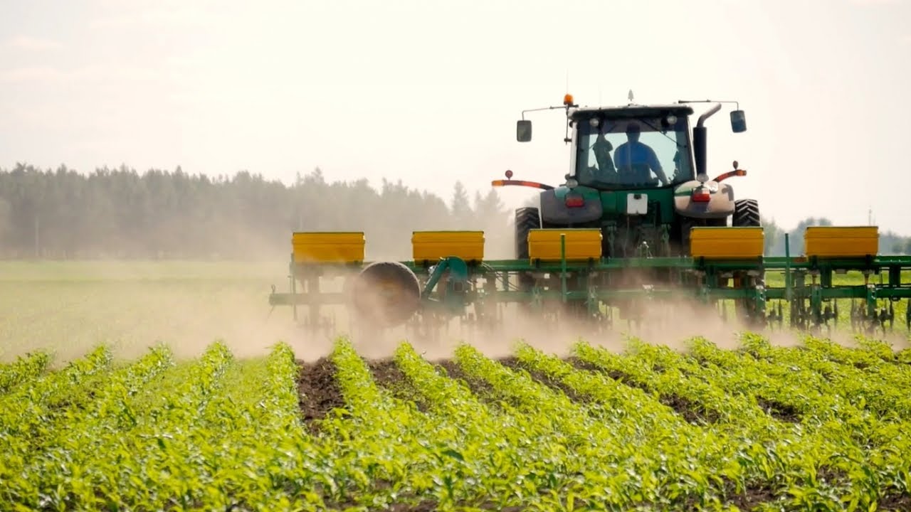 Does the most Popular Herbicide Cause Cancer?