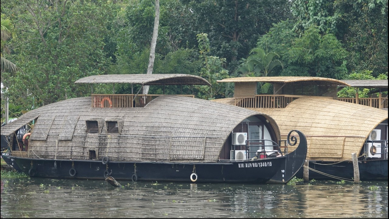 Aleppey Backwaters at southern India, the Venice of the East & its amazing birds