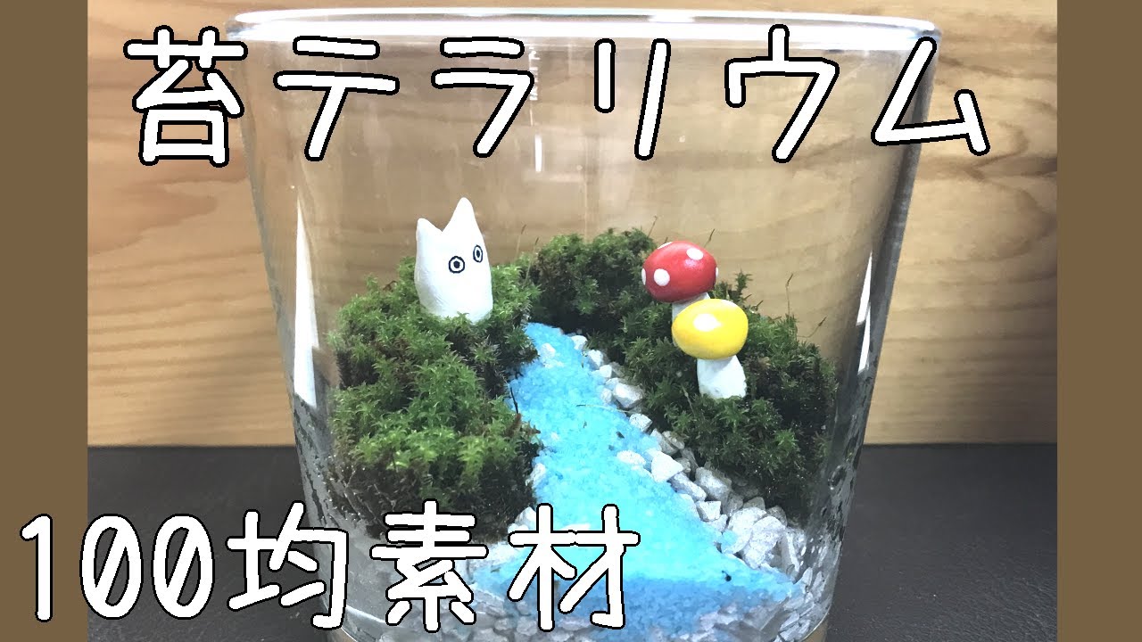 苔テラリウム🌈作り方🔰簡単🌼癒し💖100均✨インテリア🎄かわいい💖ミニチュア💛ダイソー🍂箱庭🍄ジオラマ🌳夏休み🌊初心者✨自由研究🌸手作り🌼工作💛制作