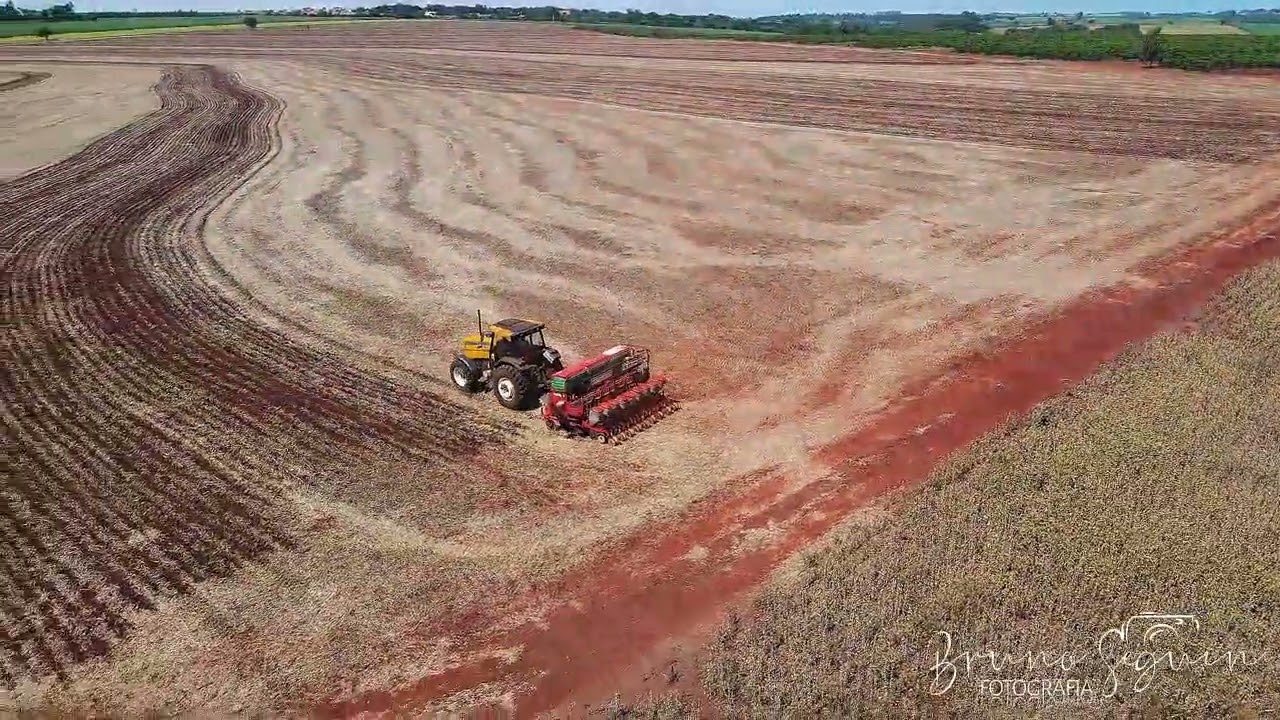 Colheita do soja e plantio do milho safrinha 