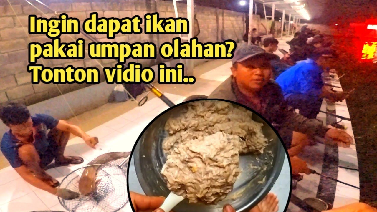 Trik mudah mancing umpan olahan pakai pelampung & non pelampung