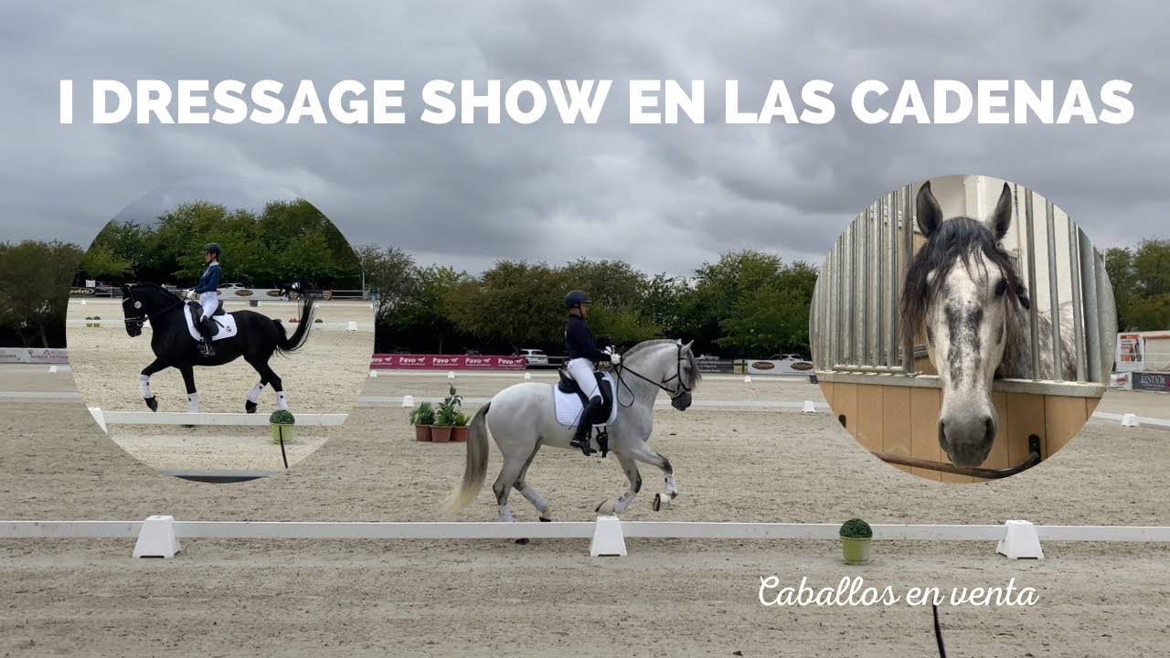 Vlog I DRESSAGE SHOW en el centro hípico LAS CADENAS - Espectaculares CABALLOS de Doma Clásica