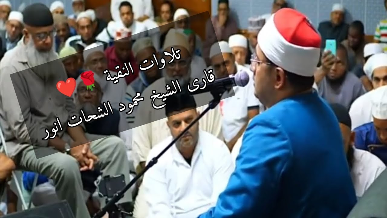 اسمعوا كلام ربكم التلاوات النقية بصوت نقية الشيخ #محمود_الشحات #quran