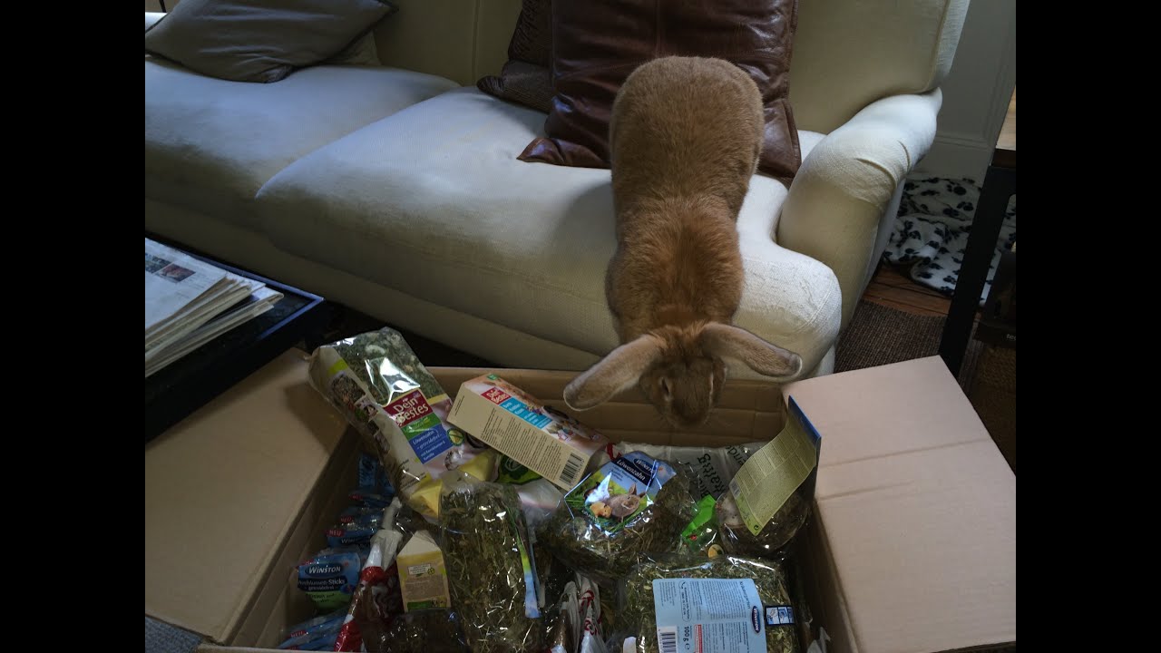 Spoiled Bunns!