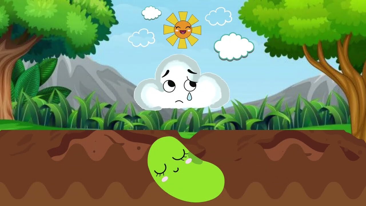 Cuento: La semilla Dormilona