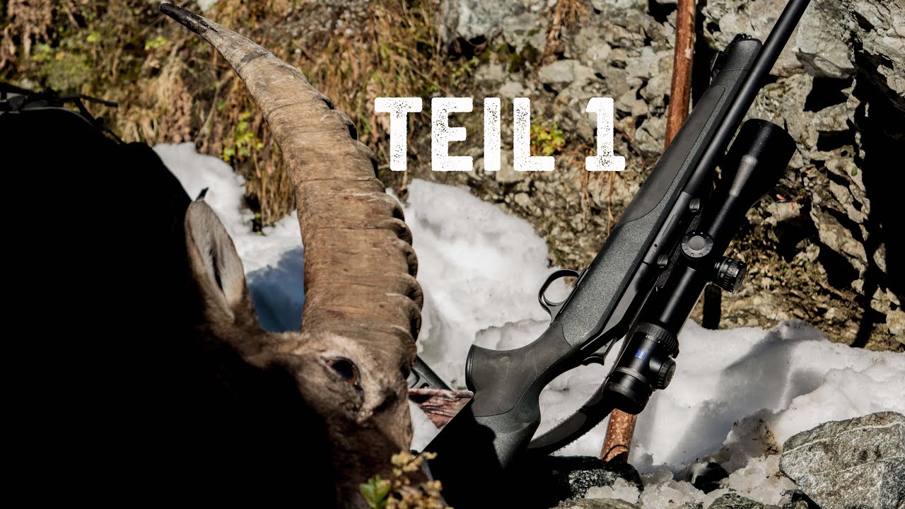 1. Teil: Die K&ouml;nigin hat Vorrang | Steinbockjagd | Steinwildjagd | Ibex hunting
