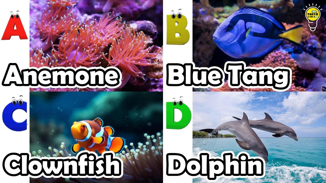 ABC phonics animals | ABC Sea Animals song | English and Animals for Kids | Alphabets Kids Song
