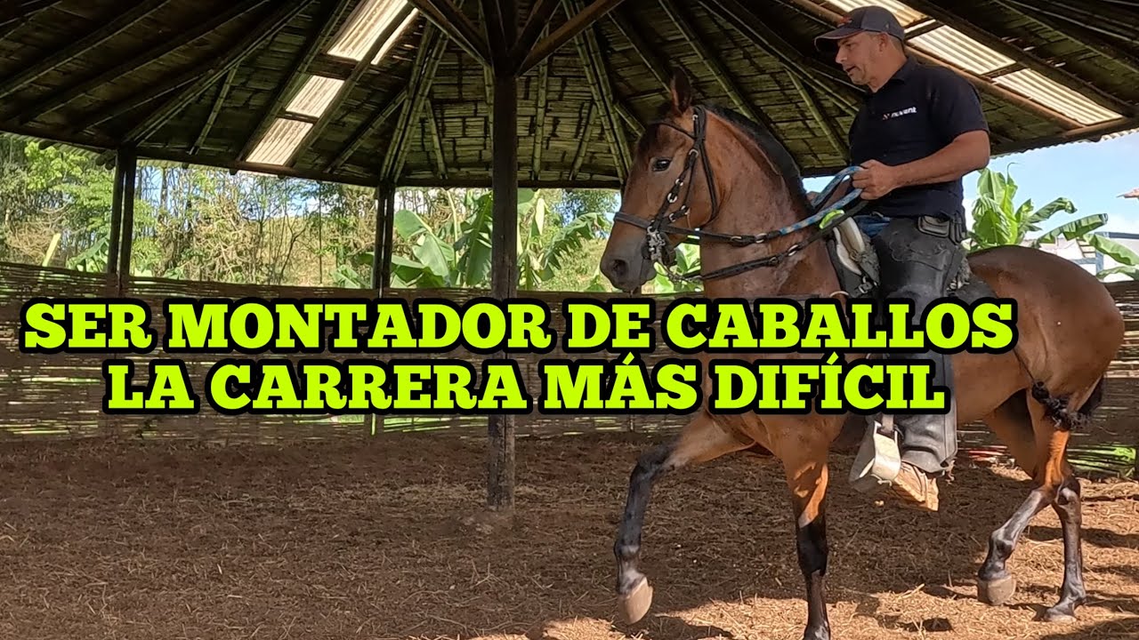 SER MONTADOR DE CABALLOS LA CARRERA M&Aacute;S DIF&Iacute;CIL