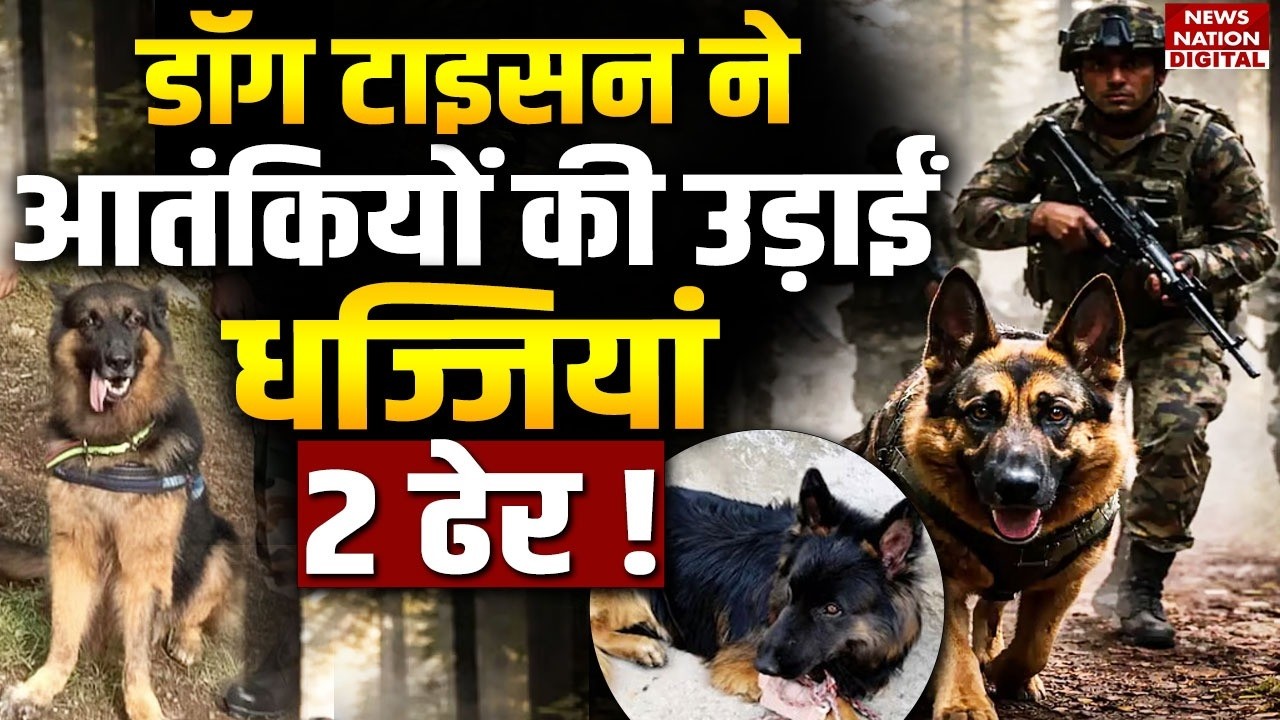 Jammu-Kashmir Big Encounter : Indian Army के Dog Tyson ने terrorists की उड़ाईं धज्जियां,2 Death!