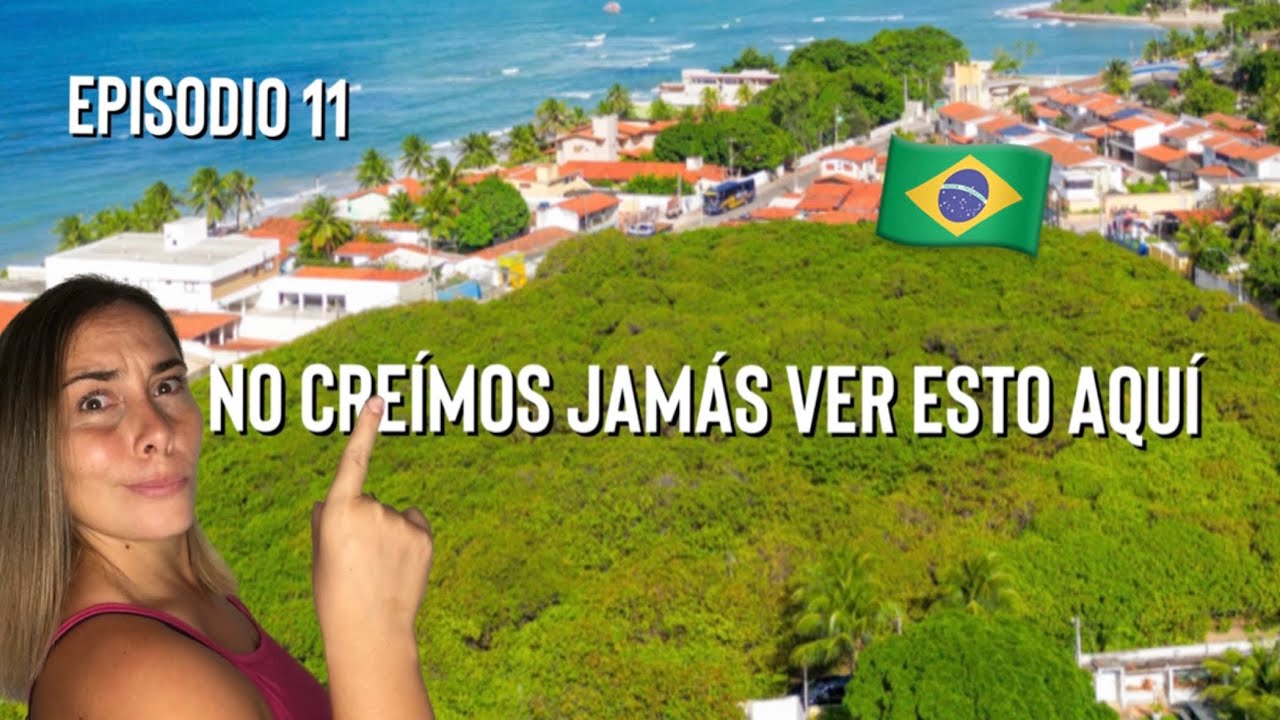 EL CAJUEIRO M&Aacute;S GRANDE DEL MUNDO se encuentra en esta CIUDAD DE BRASIL - VIAJES #travel