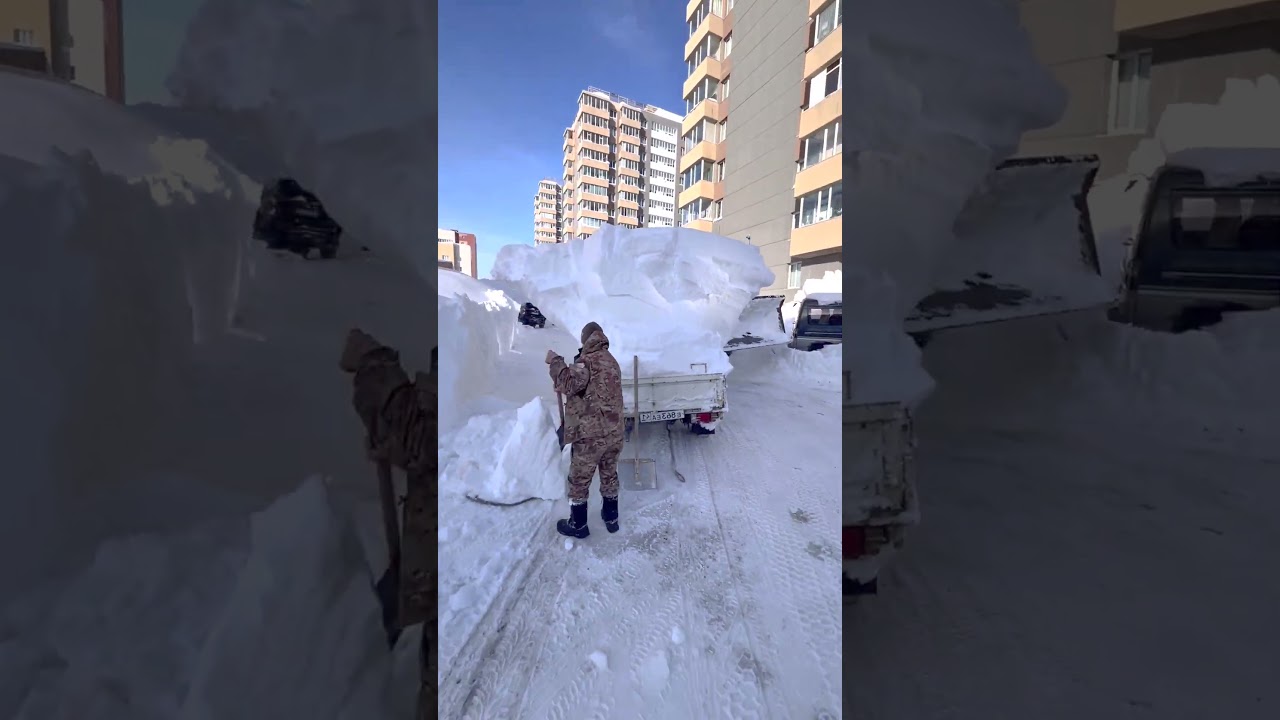 Massive Snow Load in the Yard: Vehicle Rescue Operation