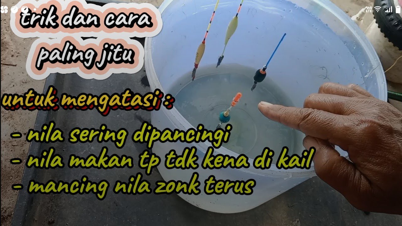 trik paling jitu mengatasi mancing selalu zonk, nila makan umpan selalu lolos, spot srg dipancing